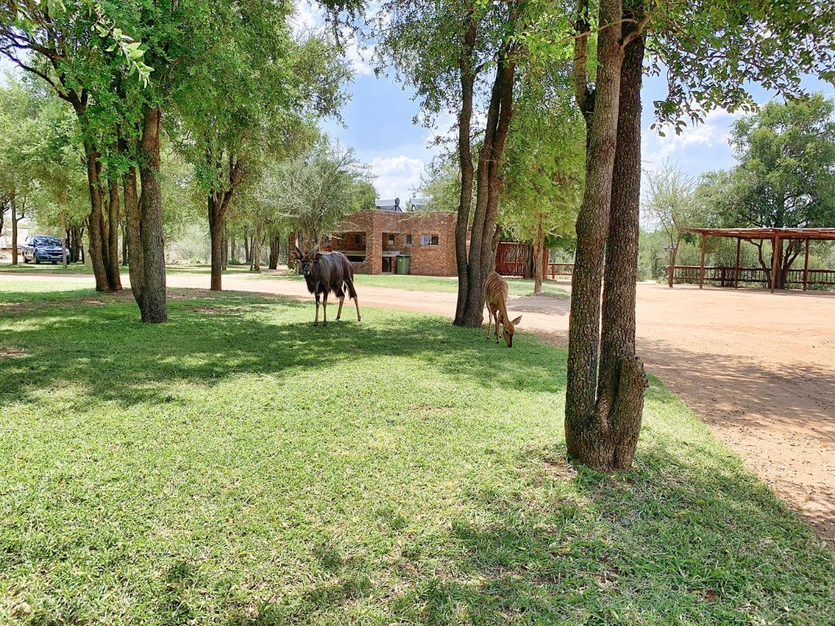 Tshikwalo Game Lodge Klipdrift Luaran gambar