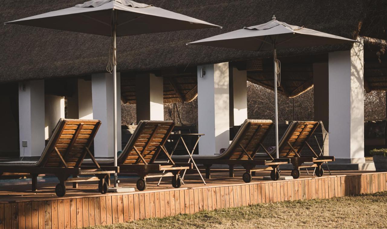 Tshikwalo Game Lodge Klipdrift Luaran gambar